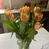 jodythomas267